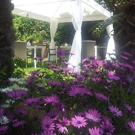 Bed & Breakfast Carmen On Etna Trecastagni